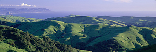 Green-Hills-of-California.jpg